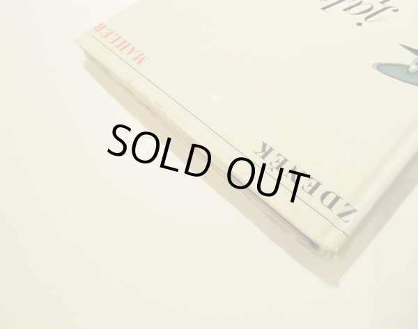 画像6: Vladimir Fuka:絵 Zdenek Mahler:著 / Jak se stat bubenikem kralovske gardy ＜チェコ絵本＞ (6)