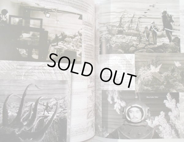 画像6: Ludmila Zemanova, Linda Zeman Spaleny:著 / KAREL ZEMAN A JEHO KOUZELNY SVET カレル・ゼマン作品集 ＜チェコ絵本＞ (6)