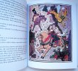 画像5: ヨゼフ・ラダ Josef Lada:絵 Stefan Josef Kubin:著 / Kniha Pohadek ＜チェコ絵本＞ (5)