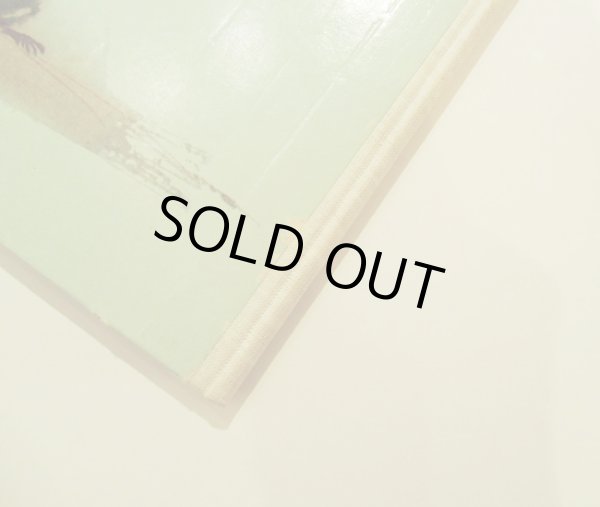 画像5: ヤーヌシ・グラビアンスキー Janusz Grabianski:絵 Hanna JANUSZEWSKA:著 / KOCOUR v BOTACH (5)