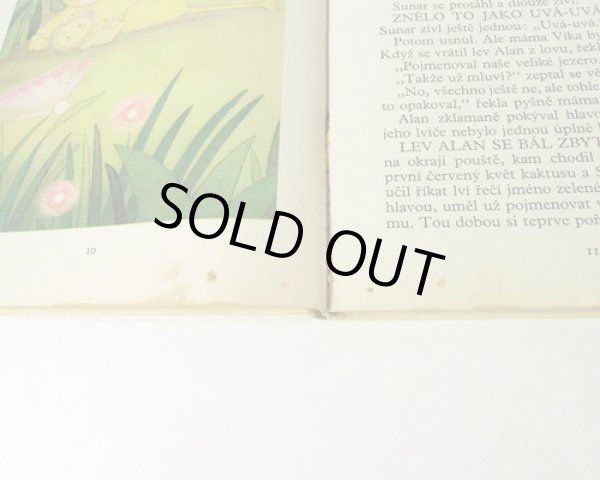 汚れのシミと綴りの緩みがあります。