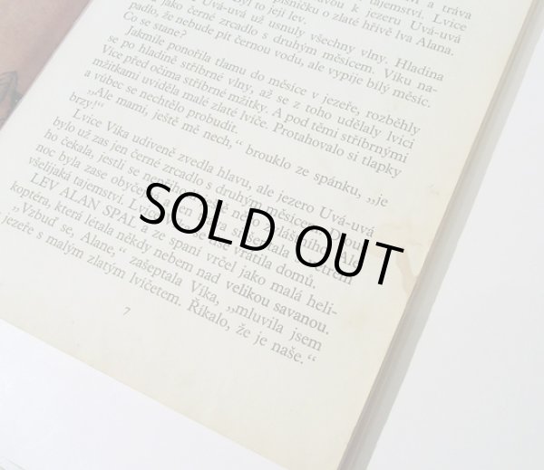 中身のページに汚れのシミがあります。