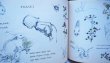 画像4: Adolf Zabransky:絵 Frantisek Hrubin:著 / Kyticka z nacrtniku ＜チェコ絵本＞ (4)