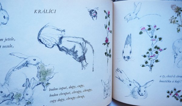 画像4: Adolf Zabransky:絵 Frantisek Hrubin:著 / Kyticka z nacrtniku ＜チェコ絵本＞ (4)