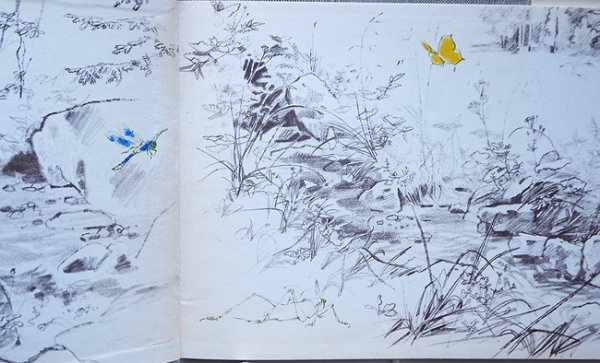 画像6: Adolf Zabransky:絵 Frantisek Hrubin:著 / Kyticka z nacrtniku ＜チェコ絵本＞ (6)