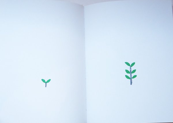 画像2: アンドレア・アンティノリ Andrea Antinori / L'arancio (2)