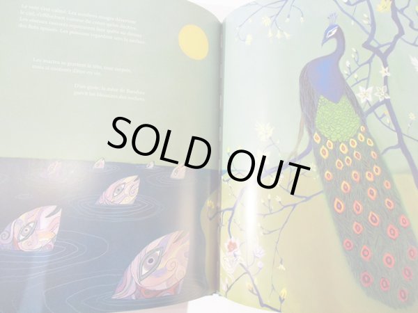 画像5: デビッド・サラ David Sala:絵　ジャン・フランソワ・シャバス Jean Francois Chabas：著　/ La colere de Banshee (5)