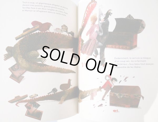 画像4: ベアトリーチェ・アレマーニャ Beatrice Alemagna / LE FABULEUX DESASTRE DHAROLD SNIPPERPOTT (4)