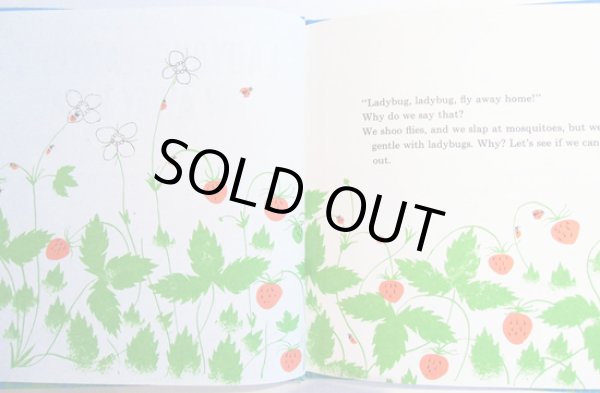 画像2: エド・エンバリー Ed Emberley:絵 Judy Hawes:著 / LADYBUG, LADYBUG, FLY AWAY HOME (2)