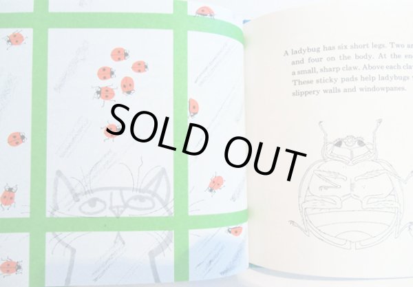 画像3: エド・エンバリー Ed Emberley:絵 Judy Hawes:著 / LADYBUG, LADYBUG, FLY AWAY HOME (3)