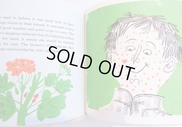 画像4: エド・エンバリー Ed Emberley:絵 Judy Hawes:著 / LADYBUG, LADYBUG, FLY AWAY HOME (4)