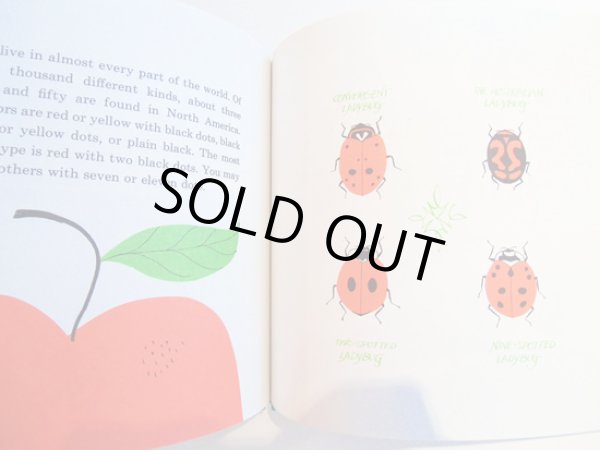 画像5: エド・エンバリー Ed Emberley:絵 Judy Hawes:著 / LADYBUG, LADYBUG, FLY AWAY HOME (5)