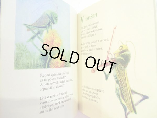 画像3: イジー・トルンカ Jiri Trnka / LETNI RIKADLA ＜チェコ絵本＞ (3)