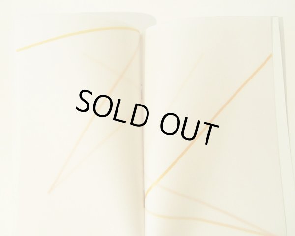 画像3: ブルーノ・ムナーリ Bruno Munari / Libro illeggibile Codice ovvio (3)