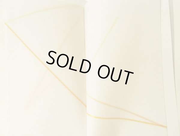 画像4: ブルーノ・ムナーリ Bruno Munari / Libro illeggibile Codice ovvio (4)