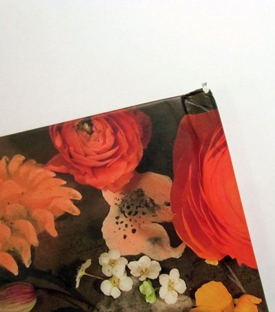 画像2: フレデリック・クレマン Frederic Clement:絵 Vincent Tessier:著 / Lubie - Le peintre des fleurs et son grain de folie