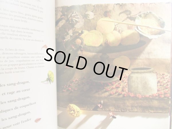 画像3: フレデリック・クレマン Frederic Clement:絵 Vincent Tessier:著 / Lubie - Le peintre des fleurs et son grain de folie (3)