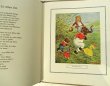 画像2: Harry B. Neilson:絵 Helene Binder：著 / Lustige Gesellen., Ein heiteres Tierbilderbuch fuer kleine Leute, (2)