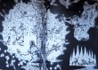 画像7: Adolf Zabransky:絵 Bozena Nemcove, Jaroslav Seifert:著 / Mahulena, krasna panna ＜チェコ絵本＞ (7)