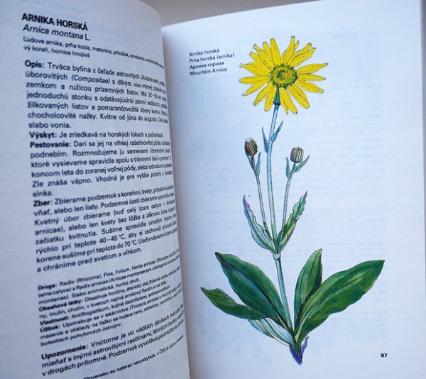 画像2: カレル・スヴォリンスキー Karel Svolinsky, Kvetoslav Hisek :絵 L. Thurzova:著 / Maly atlas liecivych rastlin（薬用植物図鑑）1983　＜チェコ絵本＞ (2)