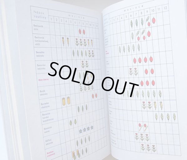 画像6: カレル・スヴォリンスキー Karel Svolinsky, Kvetoslav Hisek :絵 L. Thurzova:著 / Maly atlas liecivych rastlin（薬用植物図鑑）　＜チェコ絵本＞ (6)