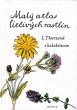 画像1: カレル・スヴォリンスキー Karel Svolinsky, Kvetoslav Hisek :絵 L. Thurzova:著 / Maly atlas liecivych rastlin（薬用植物図鑑）　＜チェコ絵本＞ (1)