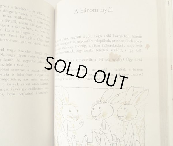 右ページに茶色の汚れがあります。