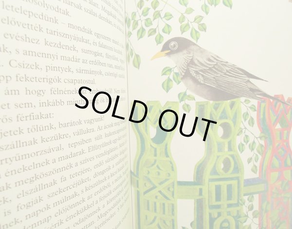 画像5: Hajnal Gabriella:絵 Gazdag Erzsi:著 / Mezcsorgato (5)