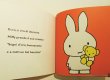 画像4: ディック・ブルーナ Dick Bruna / Miffy compie gli anni (4)