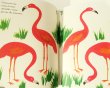 画像3: ブルーノ・ムナーリ Bruno Munari / Zoo (イタリア語版） (3)