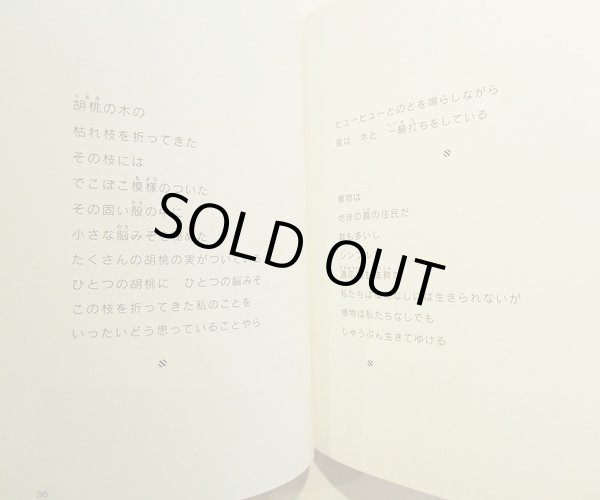 画像2: ブルーノ・ムナーリ:著 阿部雅世:訳 / ムナーリのことば (2)