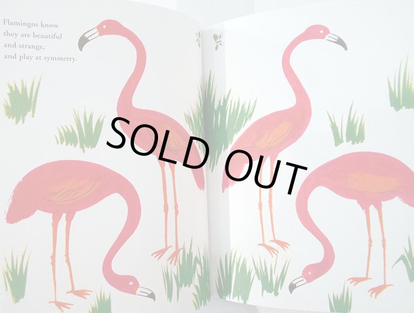 画像3: ブルーノ・ムナーリ Bruno Munari / Zoo (3)