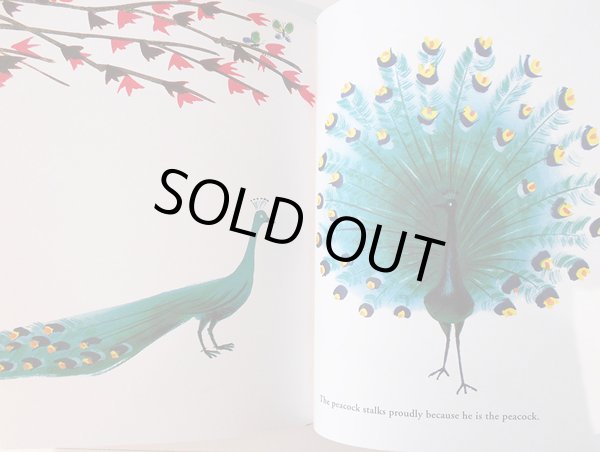 画像5: ブルーノ・ムナーリ Bruno Munari / Zoo (5)