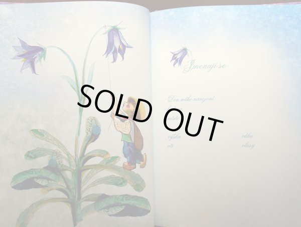 画像4: イジー・トゥルンカ Jiri Trnka / NARODILA SE BERUSKA ＜チェコ絵本＞ (4)