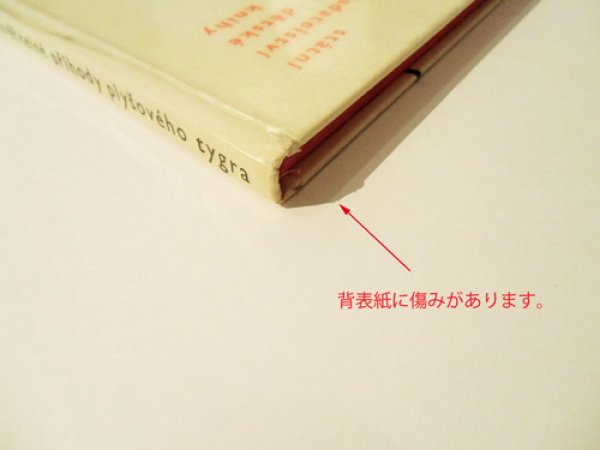 画像8: Vladimir Fuka:絵 Sofia Prokofjevova:著 / neuveritelne prihody plysoveho tygra <チェコ絵本> (8)