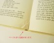 画像10: Vladimir Fuka:絵 Sofia Prokofjevova:著 / neuveritelne prihody plysoveho tygra ＜チェコ絵本＞ (10)