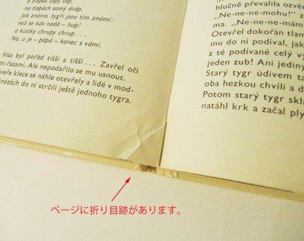 画像10: Vladimir Fuka:絵 Sofia Prokofjevova:著 / neuveritelne prihody plysoveho tygra <チェコ絵本> (10)