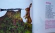 画像3: Karel Franta:絵 Vaclav Fischer, Ilja Hurnik:著 / Od houslicek po buben ＜チェコ絵本＞ (3)
