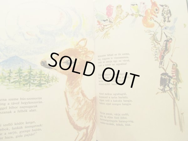 画像2: Rona Emy:絵 Fazekas Anna:著 / OREG NENE OZIKEJE (2)