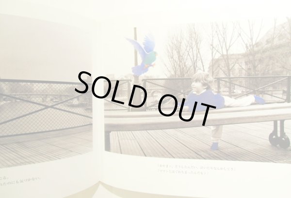 画像4: ヴェロニク・ウィルマン&ジョエル・ルブロン:作 今江祥智:訳 / パリの青い鳥 (4)