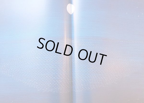 画像6: ピーター・シス Petr Sis (Peter Sis) / Pilot a Maly Princ ＜チェコ絵本＞ (6)