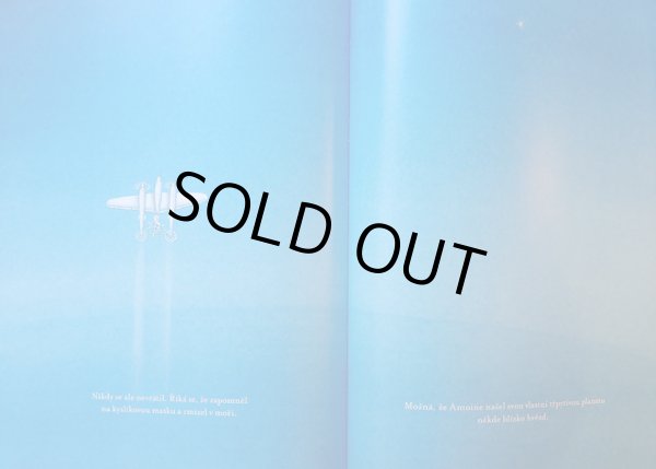 画像9: ピーター・シス Petr Sis (Peter Sis) / Pilot a Maly Princ ＜チェコ絵本＞ (9)