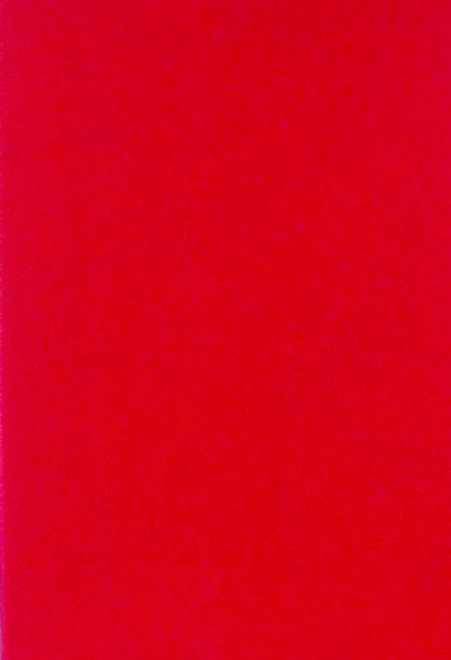 画像1: ミニストックブック（レッド） (1)