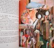 画像4: ドゥシャン・カーライ Dusan Kallay:絵 Jana Sramkova:著 / Robko a Dobko  (4)