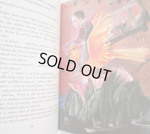 画像5: ドゥシャン・カーライ Dusan Kallay:絵 Jana Sramkova:著 / Robko a Dobko  (5)