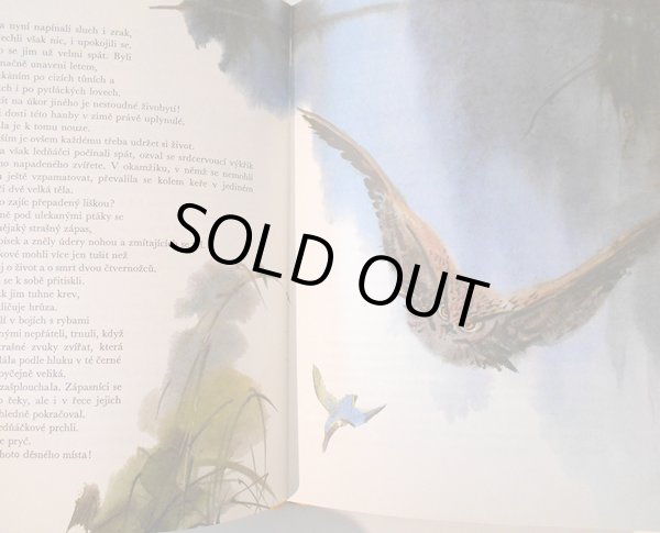 画像3: ミルコ・ハナーク Mirko Hanak:絵  Karel Novy:著 / Rybarici na Modre zatoce <チェコ絵本> (3)