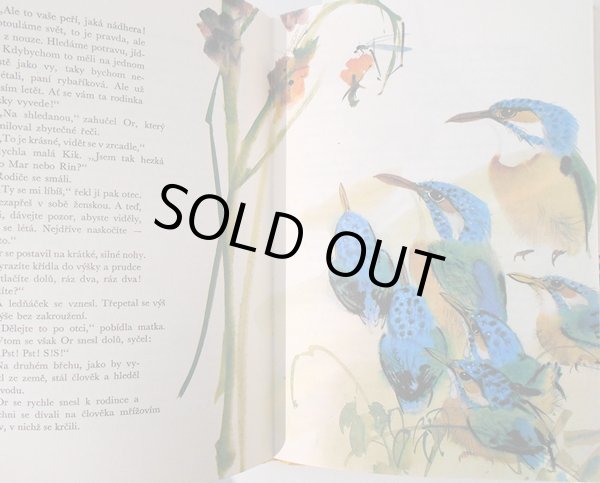 画像5: ミルコ・ハナーク Mirko Hanak:絵  Karel Novy:著 / Rybarici na Modre zatoce <チェコ絵本> (5)