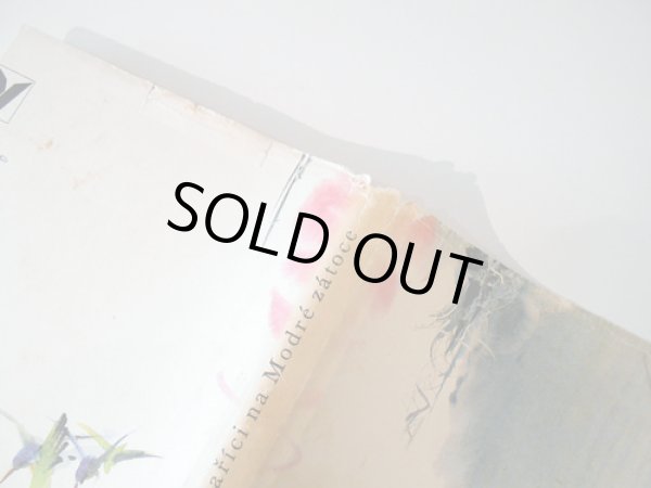 ダストカバー角の傷みがあります。