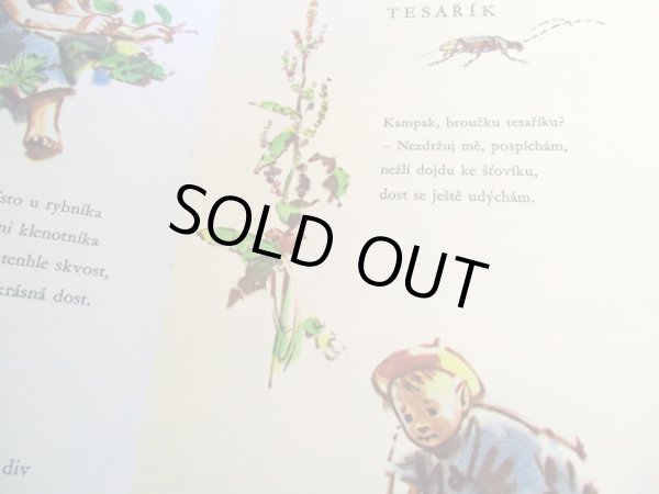 画像7: Adolf Zabransky:絵 Jan Carek:著 / Srdce poteseni <チェコ絵本> (7)