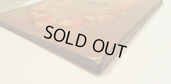 画像6: メッゲンドルファー Lothar Meggendorfer / The City Park (6)